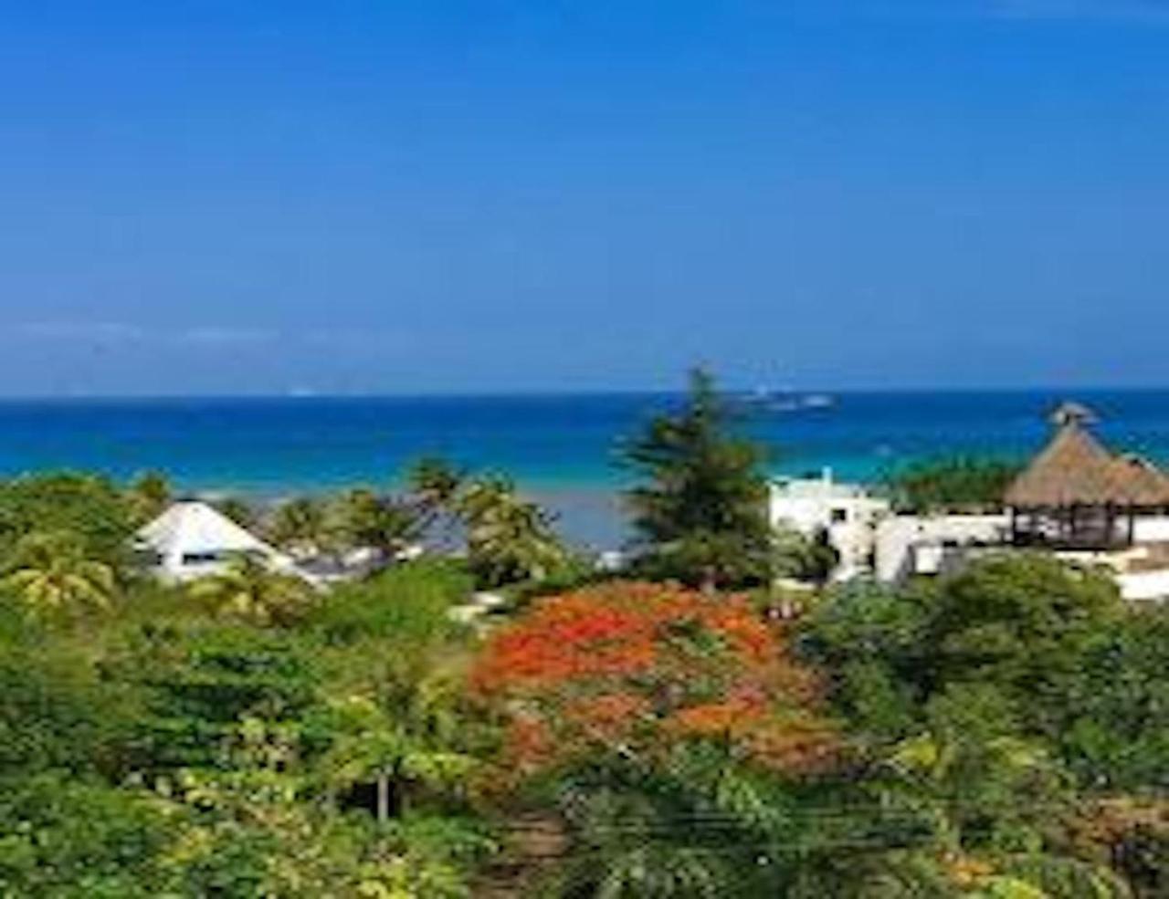 Acanto Hotel Playa Del Carmen, Trademark Collection By Wyndham Eksteriør bilde